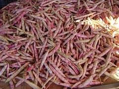 Kifejtő- és száraz