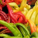 Étkezési paprika
